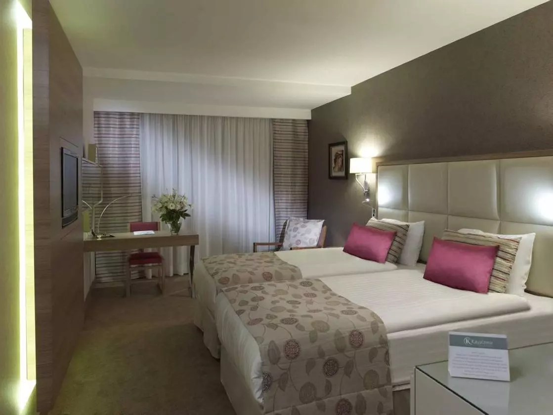 KAYAIZMIR_SHABAVIZ (2).jpg